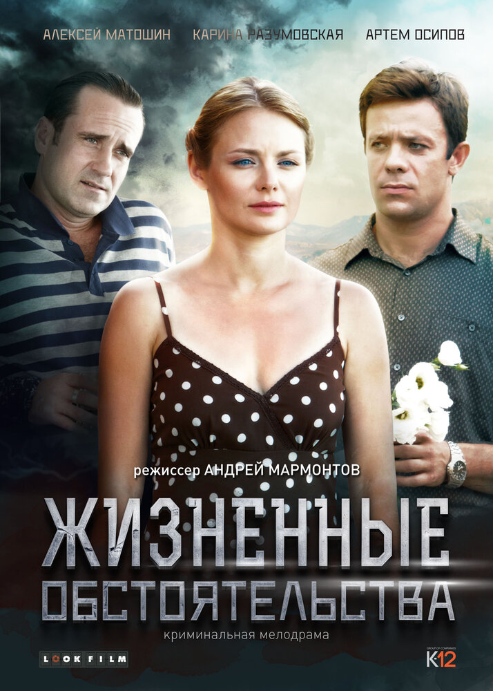 Жизненные обстоятельства (2014) постер