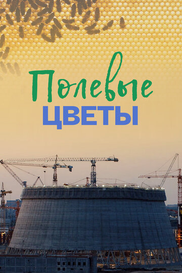 Полевые цветы (2022)